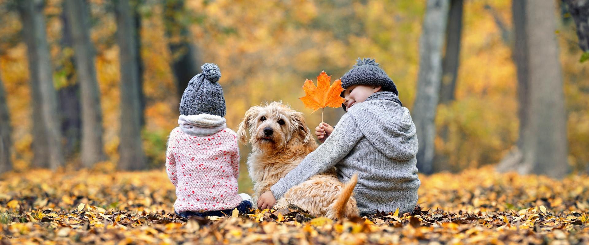 Two kids sitting in leaves in fall.