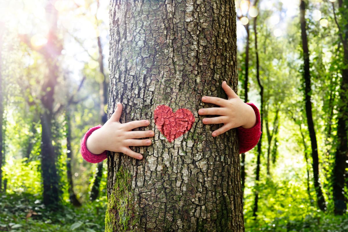 Child reaching around hugging a tree